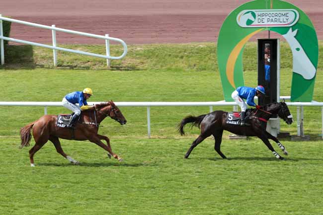 Arrivée quinté pmu PRIX DU MONT CINDRE à LYON-PARILLY