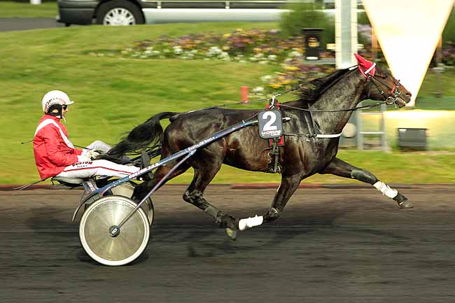 Arrivée quinté pmu PRIX JACQUES DE SAINT-SAUVEUR à PARIS-VINCENNES