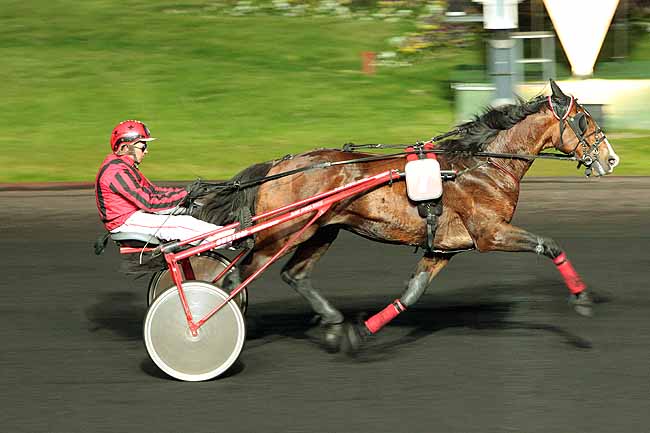 Arrivée quinté pmu PRIX CETUS à PARIS-VINCENNES