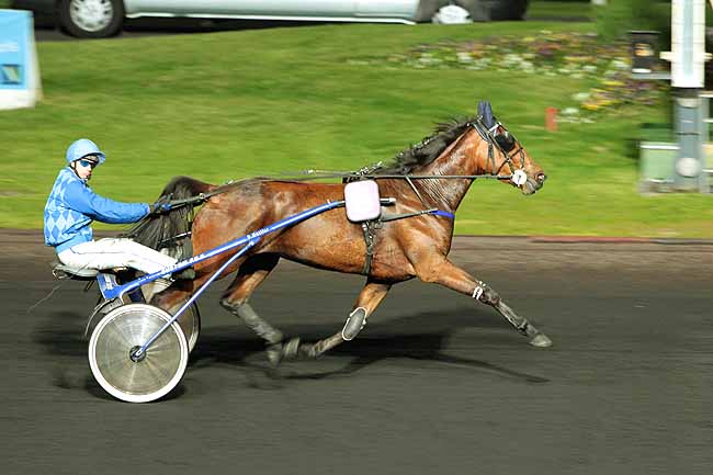 Arrivée quinté pmu PRIX DIANA à PARIS-VINCENNES