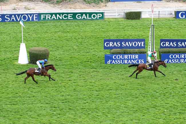 Arrivée quinté pmu PRIX GRAS SAVOYE PATRIMOINE-  PRIX FERDINAND DUFAURE à AUTEUIL