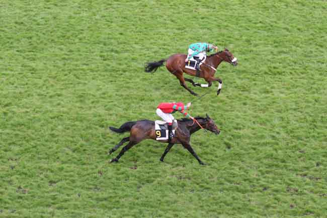 Arrivée quinté pmu PRIX GRAS SAVOYE PASTEURDON - PRIX DE LONGCHAMP à AUTEUIL