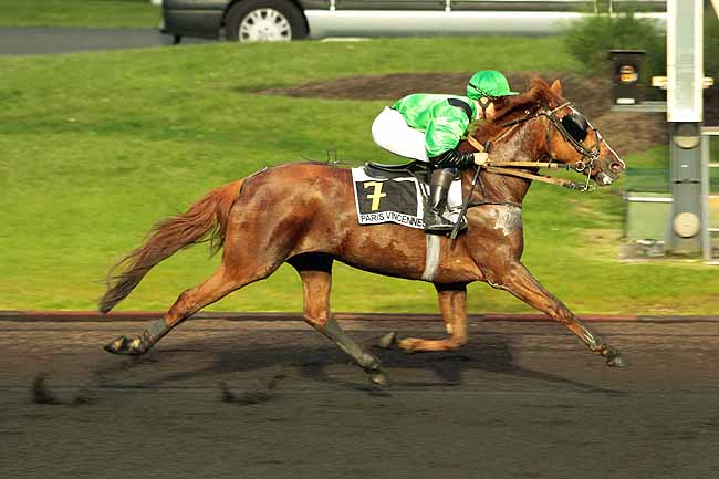 Arrivée quinté pmu PRIX HARMONIA à PARIS-VINCENNES