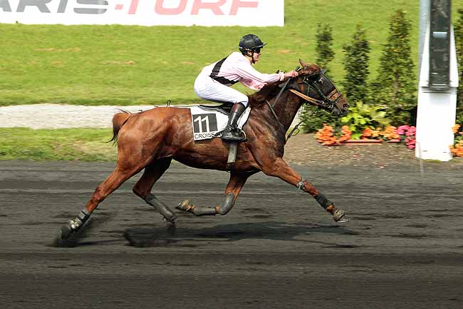 Arrivée quinté pmu PRIX MEETING ATHLETISME LILLE METROPOLE à LE CROISE-LAROCHE