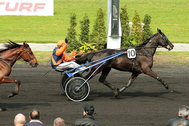 Arrivée quinté pmu PRIX RENT A CAR à LE CROISE-LAROCHE
