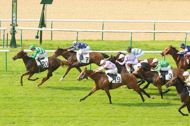 Arrivée quinté pmu PRIX DE BARBERY à CHANTILLY