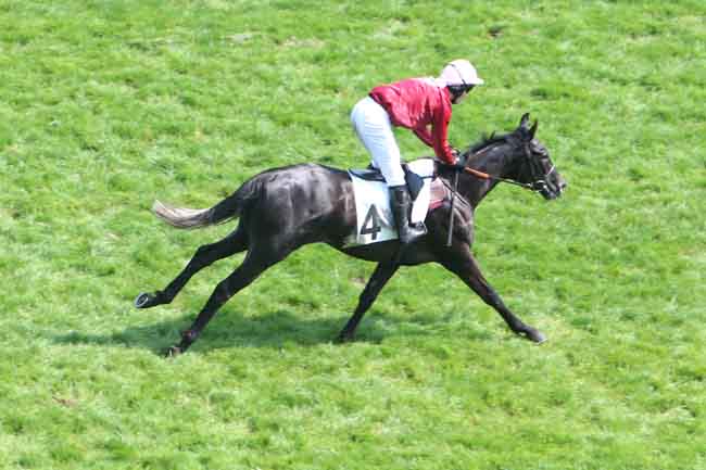 Arrivée quinté pmu PRIX GALAFRON à AUTEUIL