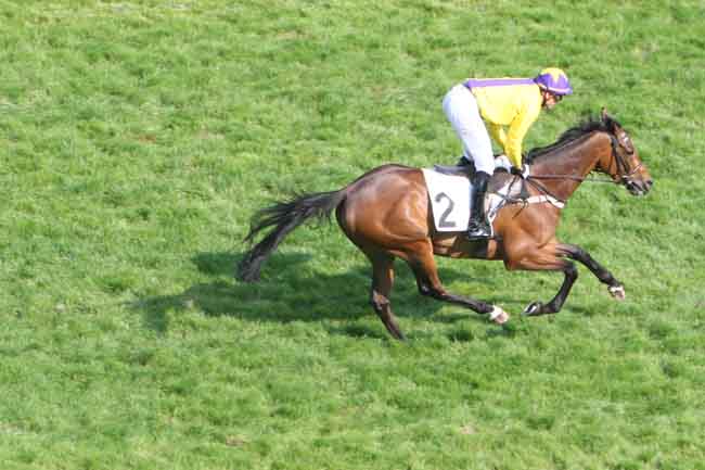 Arrivée quinté pmu PRIX MELINOIR à AUTEUIL