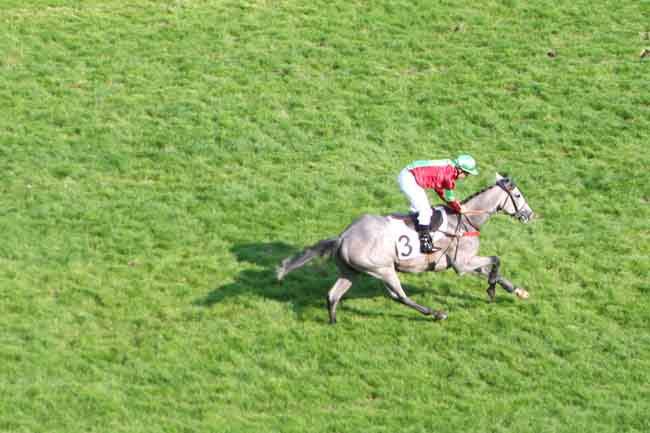 Arrivée quinté pmu PRIX DE NORT-SUR-ERDRE à AUTEUIL