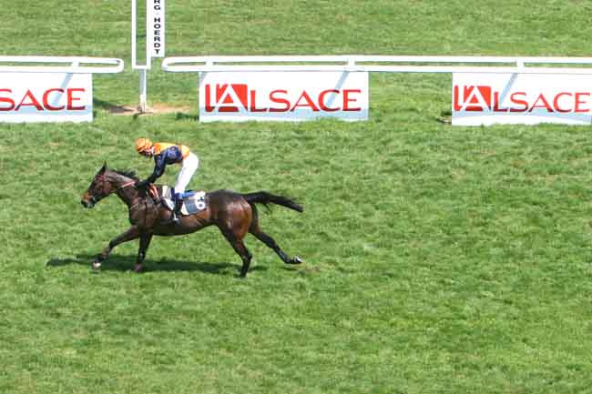 Arrivée quinté pmu PRIX KLEBER à STRASBOURG