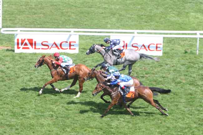 Arrivée quinté pmu PRIX DE LA VALSE à STRASBOURG