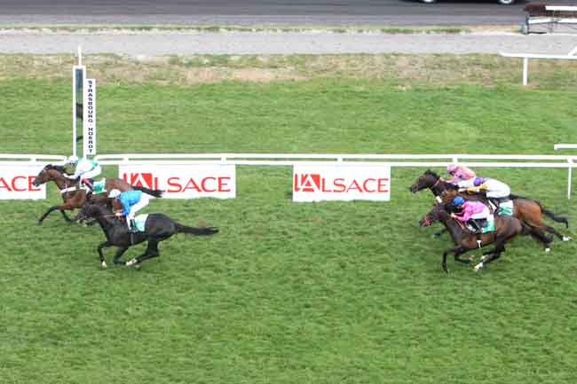 Arrivée quinté pmu PRIX NATHANAELLE ARTU à STRASBOURG