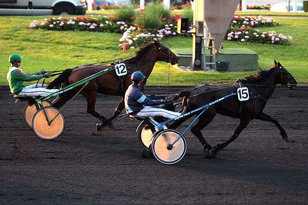 Arrivée quinté pmu PRIX RHEITA à PARIS-VINCENNES