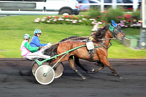 Arrivée quinté pmu PRIX JOHANNA à PARIS-VINCENNES