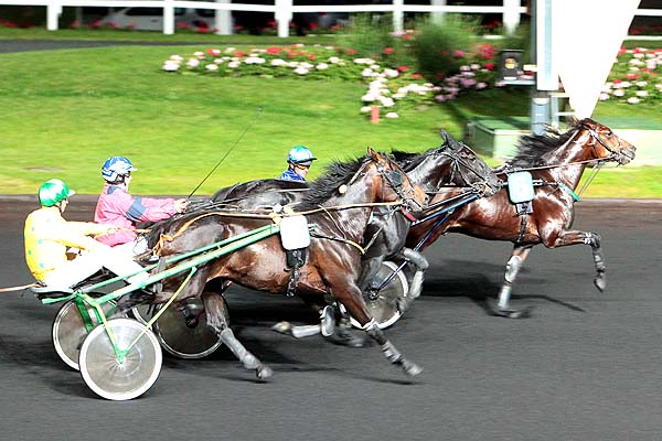 Arrivée quinté pmu PRIX TALITHA à PARIS-VINCENNES