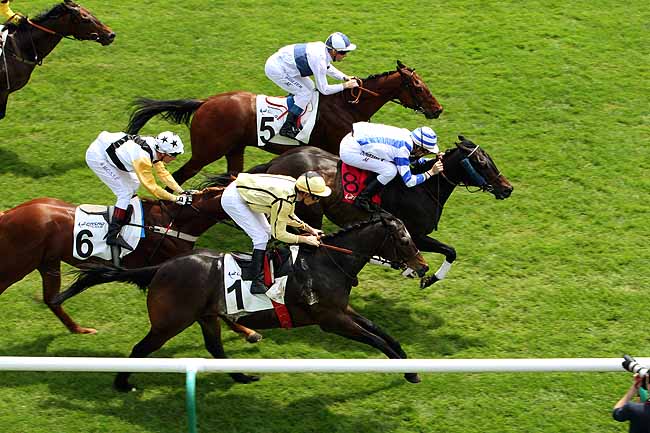 Arrivée quinté pmu PRIX DE ROISSY à CHANTILLY