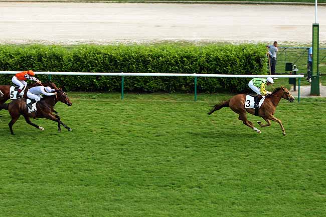 Arrivée quinté pmu PRIX ALY KHAN à CHANTILLY