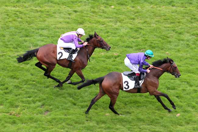 Arrivée quinté pmu PRIX D'IENA à AUTEUIL