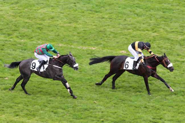 Arrivée quinté pmu PRIX ROCKING CHAIR à AUTEUIL
