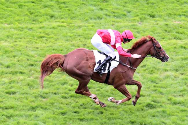 Arrivée quinté pmu PRIX MIROR à AUTEUIL