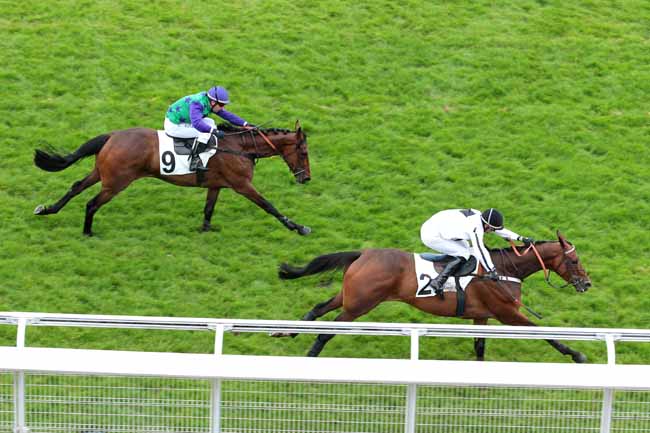 Arrivée quinté pmu PRIX TRINIDAD à AUTEUIL