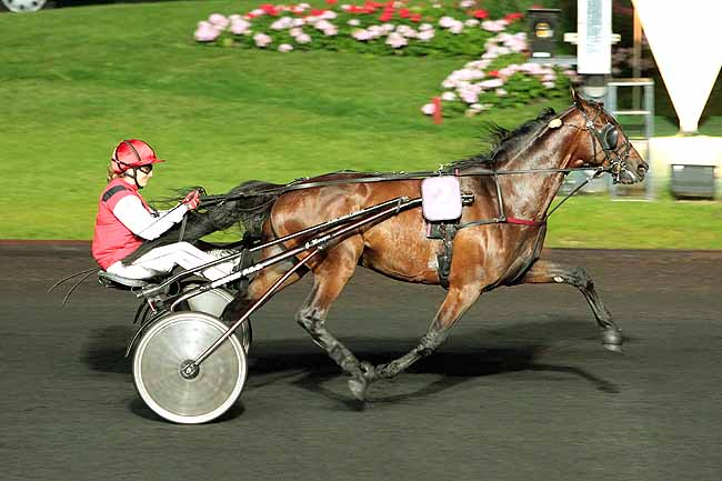 Arrivée quinté pmu PRIX GERALDINA à PARIS-VINCENNES