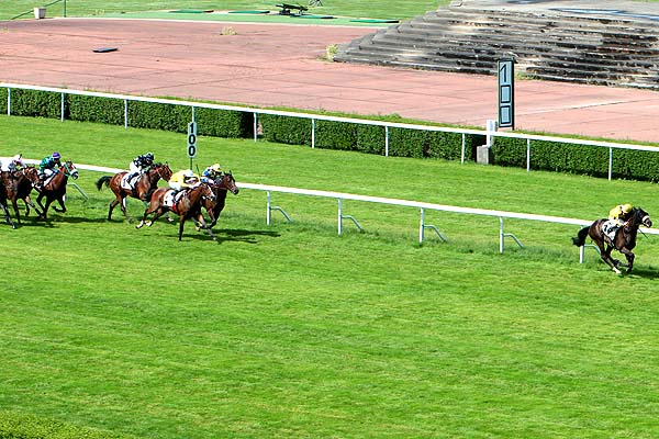 Arrivée quinté pmu PRIX DE BEYNES à SAINT-CLOUD