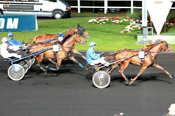 Arrivée quinté pmu PRIX ARA à PARIS-VINCENNES