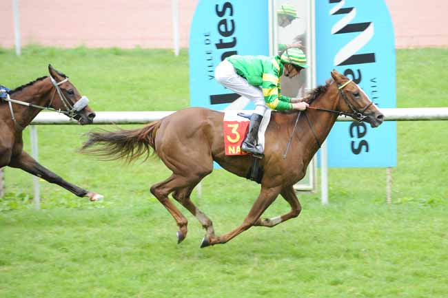 Arrivée quinté pmu PRIX DE LA CHEZINE à NANTES