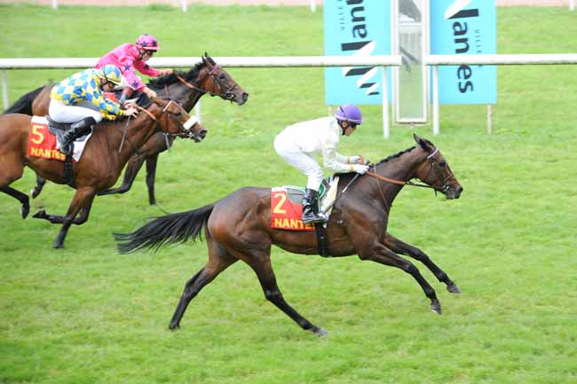 Arrivée quinté pmu PRIX DE THOUARE à NANTES