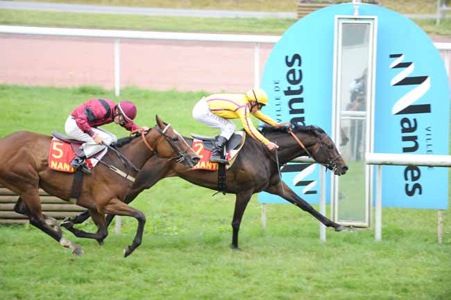 Arrivée quinté pmu PRIX DU JOURNAL GENYCOURSES - GRAND PRIX DES AQPS à NANTES