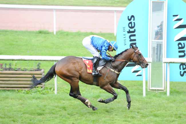 Arrivée quinté pmu PRIX CLAUDE ROUGET à NANTES
