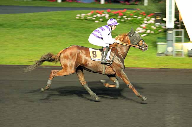 Arrivée quinté pmu PRIX TYCHE à PARIS-VINCENNES