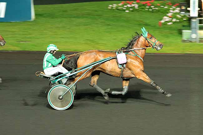 Arrivée quinté pmu PRIX ROSALIA à PARIS-VINCENNES