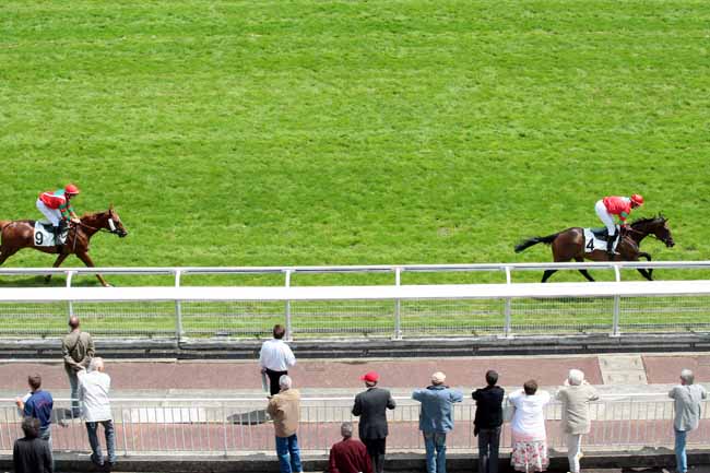 Arrivée quinté pmu PRIX BOIS ROUAUD à AUTEUIL