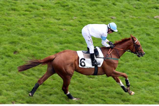 Arrivée quinté pmu PRIX BEAUMANOIR à AUTEUIL