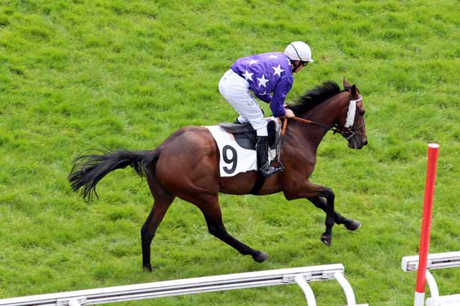 Arrivée quinté pmu PRIX BURGRAVE II à AUTEUIL