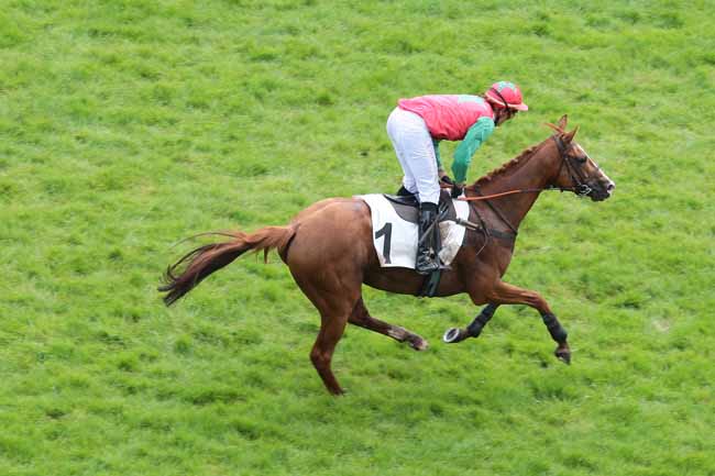 Arrivée quinté pmu PRIX DE ROYAN à AUTEUIL
