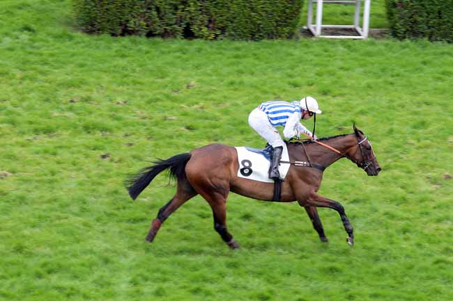 Arrivée quinté pmu PRIX LE BOUIF à AUTEUIL
