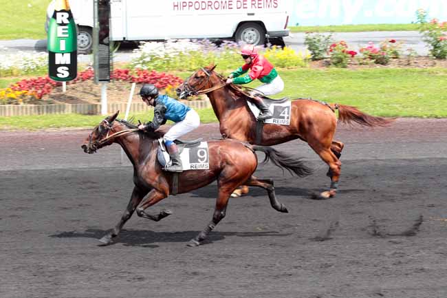 Arrivée quinté pmu PRIX DU JOURNAL L'UNION à REIMS