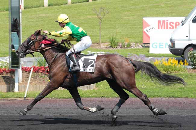 Arrivée quinté pmu PRIX DE LA LIGUE CONTRE LA CARDIOMYOPATHIE à REIMS