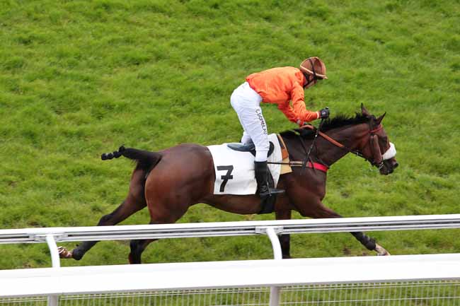 Arrivée quinté pmu PRIX SAGAN à AUTEUIL