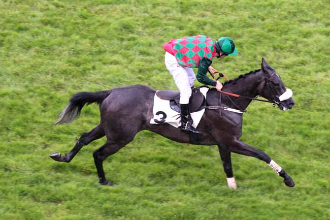 Arrivée quinté pmu PRIX FRASCATI à AUTEUIL
