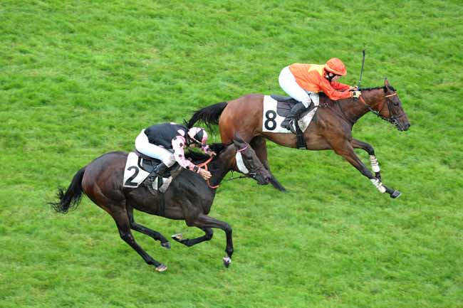 Arrivée quinté pmu PRIX CHRISTIAN DE TREDERN à AUTEUIL