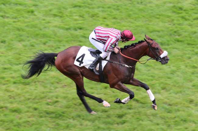 Arrivée quinté pmu PRIX LA PERICHOLE à AUTEUIL