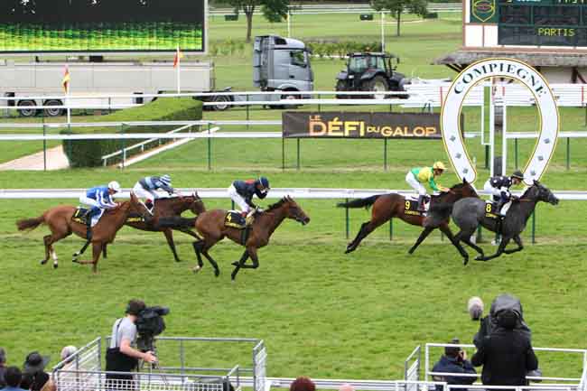 Arrivée quinté pmu PRIX D'AMELIE à COMPIEGNE