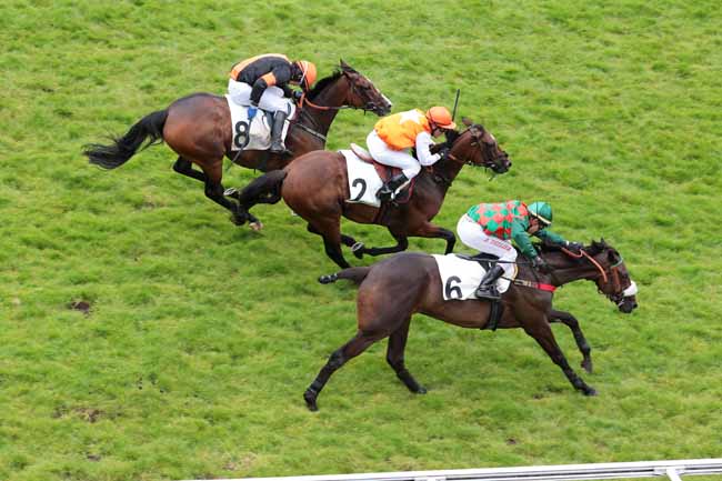 Arrivée quinté pmu PRIX GERALD DE ROCHEFORT à AUTEUIL