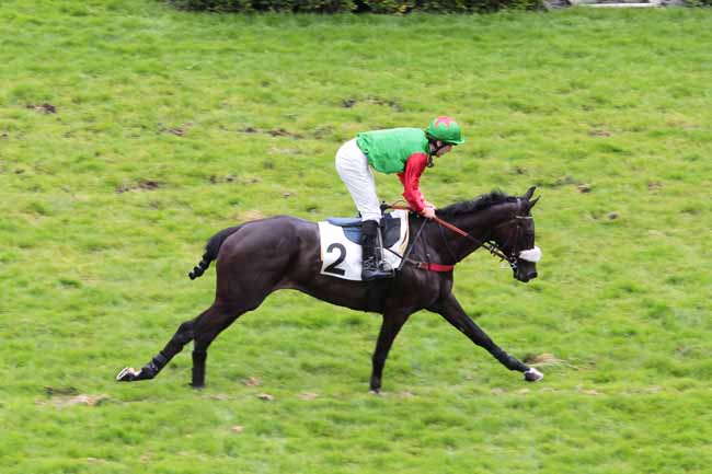 Arrivée quinté pmu PRIX COLOMBELLES à AUTEUIL