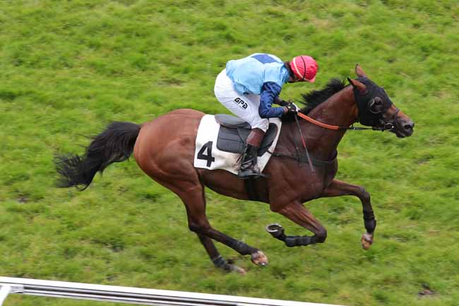 Arrivée quinté pmu PRIX DAWN RUN à AUTEUIL