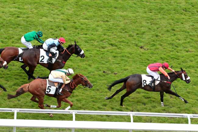 Arrivée quinté pmu PRIX D'ACHERES à AUTEUIL
